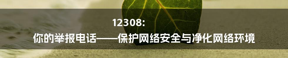 12308: 你的举报电话——保护网络安全与净化网络环境