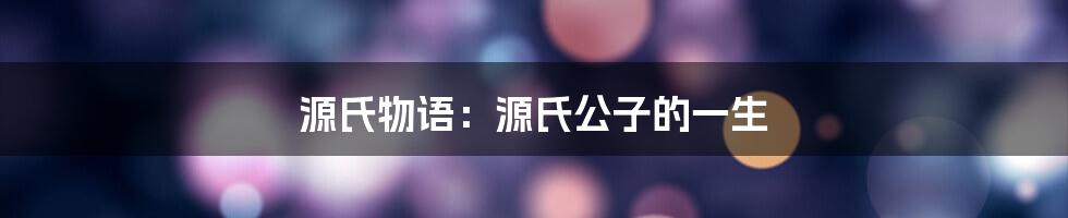 源氏物语：源氏公子的一生