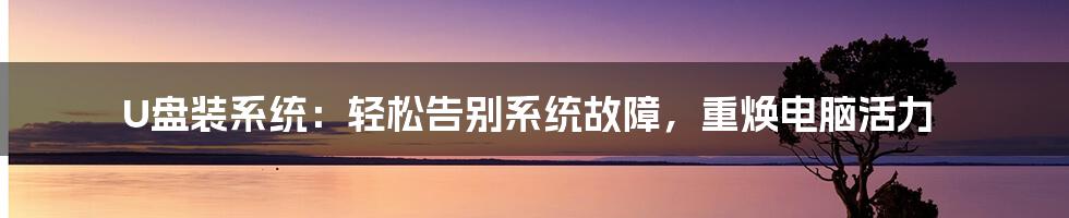 U盘装系统：轻松告别系统故障，重焕电脑活力