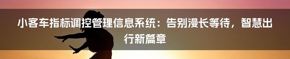 小客车指标调控管理信息系统：告别漫长等待，智慧出行新篇章