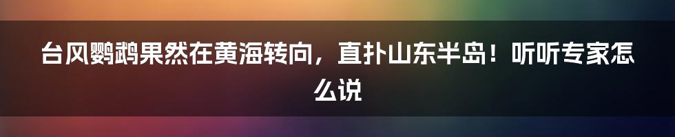 台风鹦鹉果然在黄海转向，直扑山东半岛！听听专家怎么说