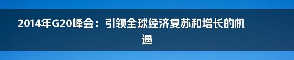 2014年G20峰会：引领全球经济复苏和增长的机遇