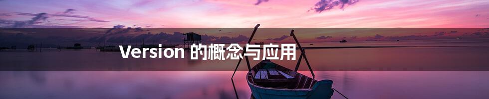 Version 的概念与应用