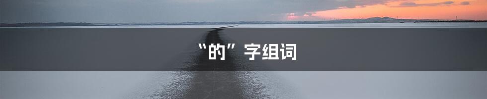 “的”字组词