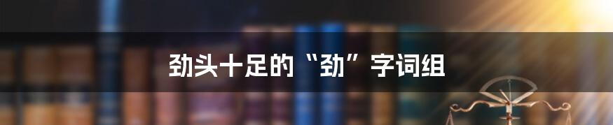 劲头十足的“劲”字词组