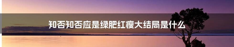 知否知否应是绿肥红瘦大结局是什么