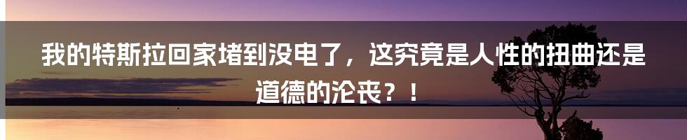 我的特斯拉回家堵到没电了，这究竟是人性的扭曲还是道德的沦丧？！