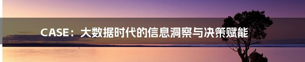 CASE：大数据时代的信息洞察与决策赋能