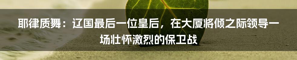 耶律质舞：辽国最后一位皇后，在大厦将倾之际领导一场壮怀激烈的保卫战