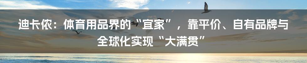 迪卡侬：体育用品界的“宜家”，靠平价、自有品牌与全球化实现“大满贯”