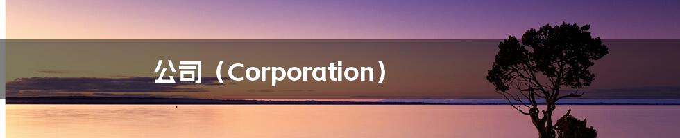 公司（Corporation）