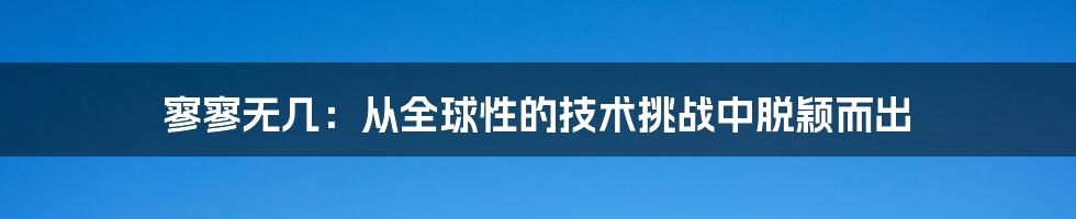 寥寥无几：从全球性的技术挑战中脱颖而出