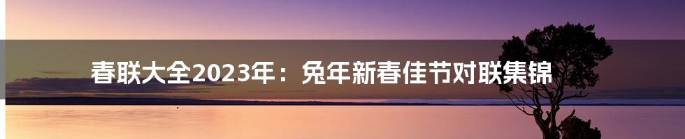 春联大全2023年：兔年新春佳节对联集锦