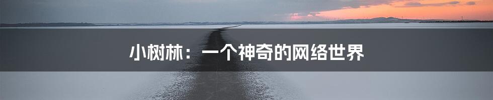 小树林：一个神奇的网络世界