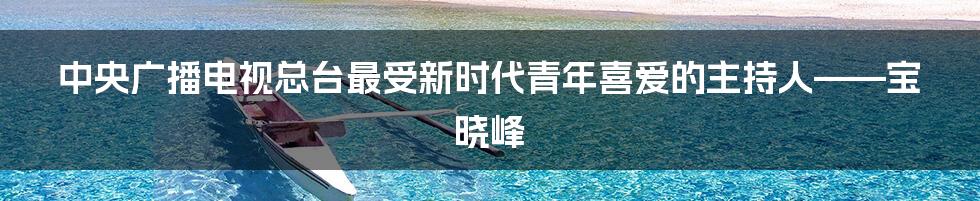 中央广播电视总台最受新时代青年喜爱的主持人——宝晓峰