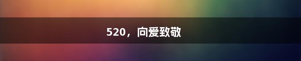 520，向爱致敬