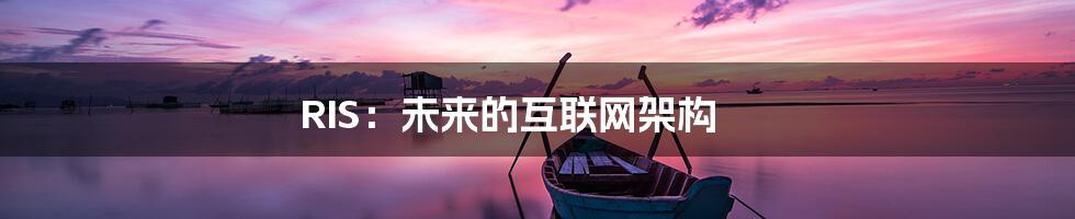 RIS：未来的互联网架构