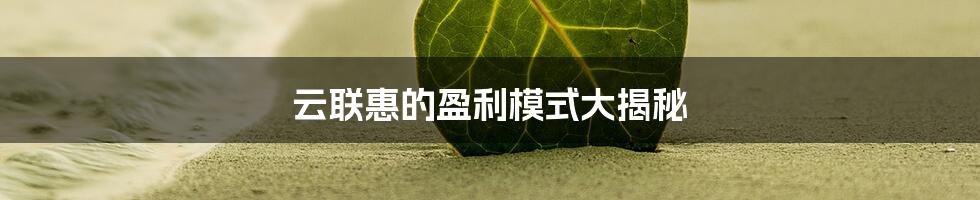 云联惠的盈利模式大揭秘