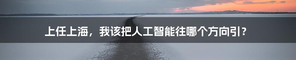 上任上海，我该把人工智能往哪个方向引？