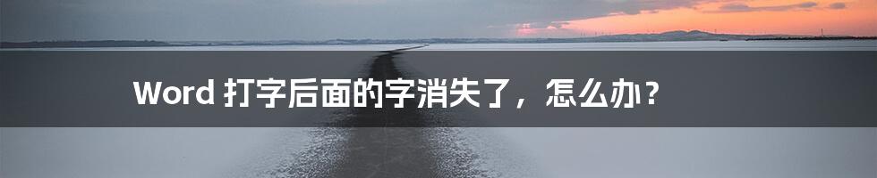 Word 打字后面的字消失了，怎么办？