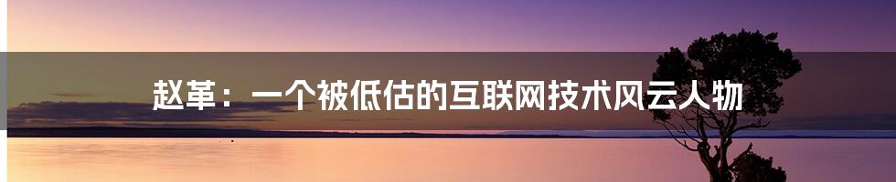 赵革：一个被低估的互联网技术风云人物