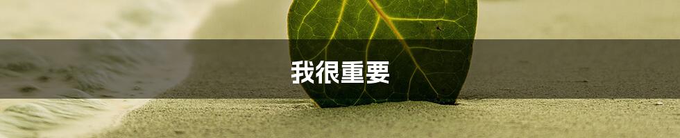 我很重要