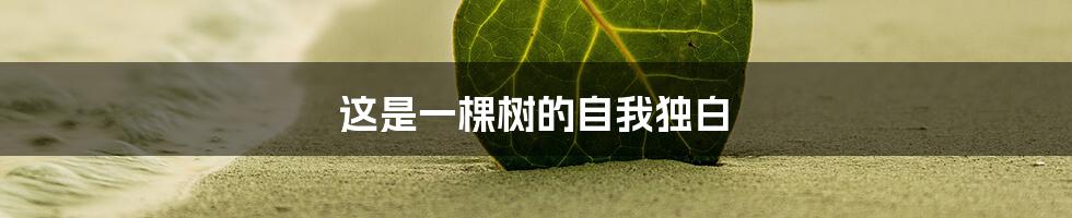 这是一棵树的自我独白