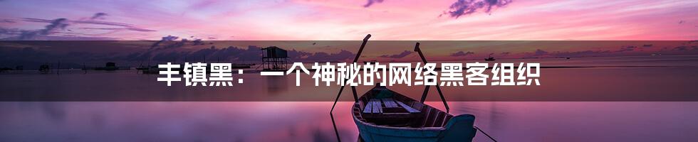 丰镇黑：一个神秘的网络黑客组织