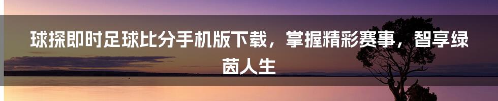 球探即时足球比分手机版下载，掌握精彩赛事，智享绿茵人生