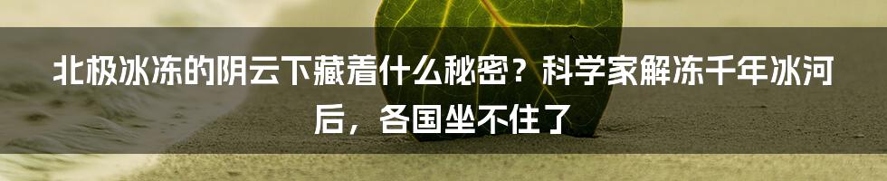 北极冰冻的阴云下藏着什么秘密？科学家解冻千年冰河后，各国坐不住了