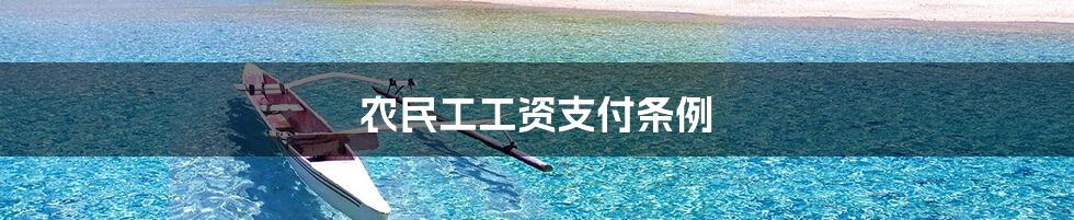 农民工工资支付条例