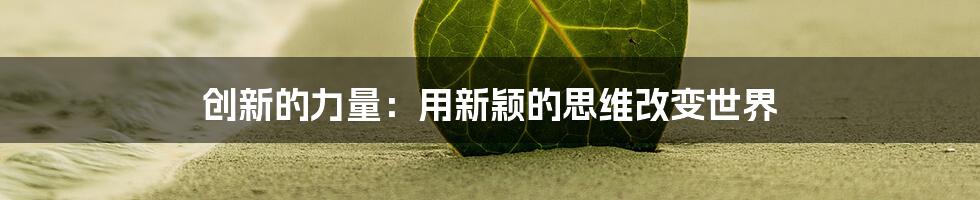 创新的力量：用新颖的思维改变世界