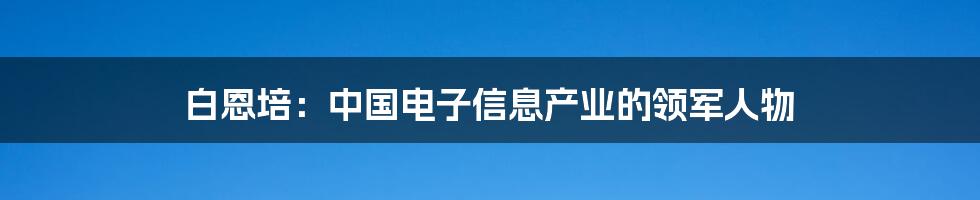 白恩培：中国电子信息产业的领军人物