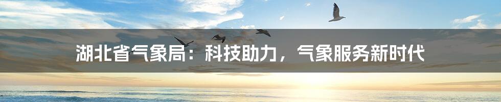 湖北省气象局：科技助力，气象服务新时代