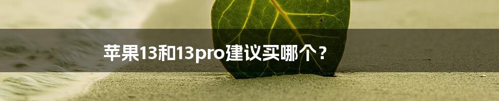 苹果13和13pro建议买哪个？