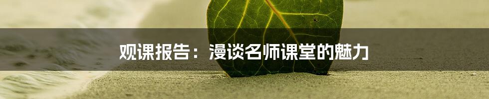 观课报告：漫谈名师课堂的魅力