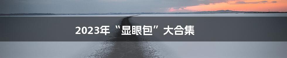 2023年“显眼包”大合集