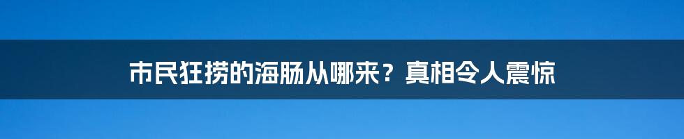 市民狂捞的海肠从哪来？真相令人震惊