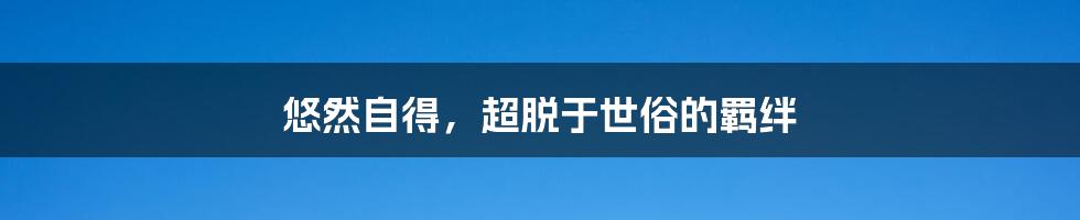 悠然自得，超脱于世俗的羁绊