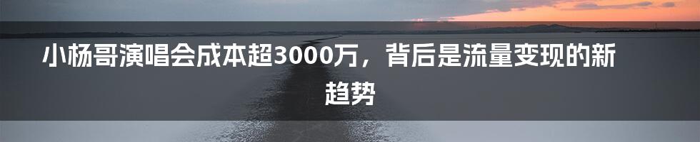 小杨哥演唱会成本超3000万，背后是流量变现的新趋势