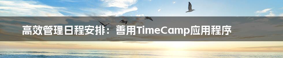 高效管理日程安排：善用TimeCamp应用程序