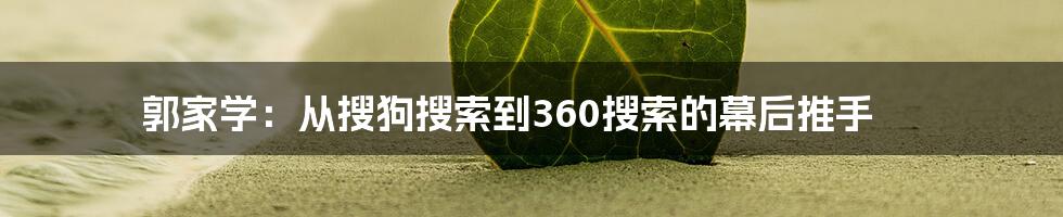 郭家学：从搜狗搜索到360搜索的幕后推手