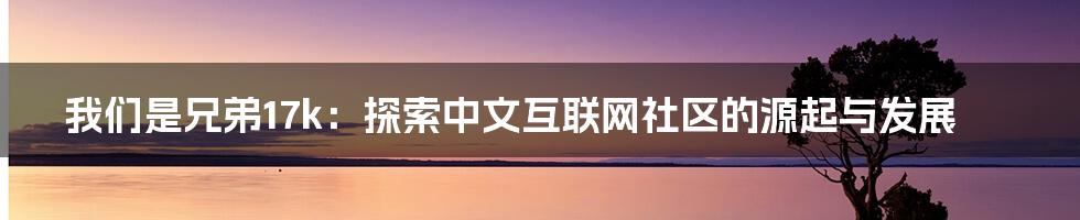 我们是兄弟17k：探索中文互联网社区的源起与发展