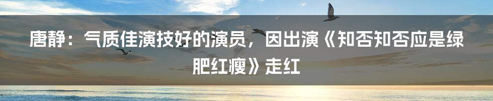 唐静：气质佳演技好的演员，因出演《知否知否应是绿肥红瘦》走红