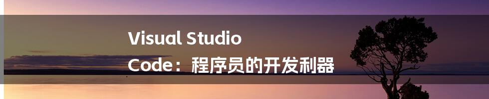 Visual Studio Code：程序员的开发利器