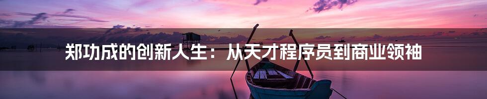 郑功成的创新人生：从天才程序员到商业领袖