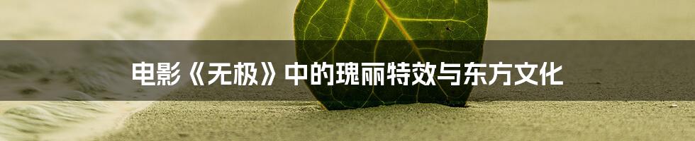 电影《无极》中的瑰丽特效与东方文化