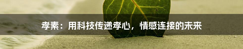 孝素：用科技传递孝心，情感连接的未来