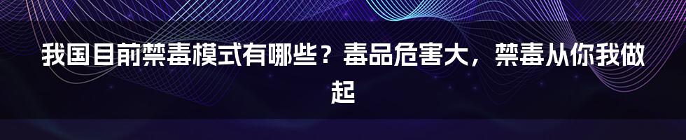 我国目前禁毒模式有哪些？毒品危害大，禁毒从你我做起