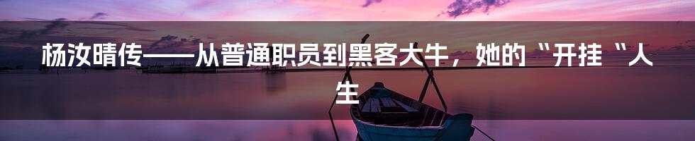 杨汝晴传——从普通职员到黑客大牛，她的“开挂“人生